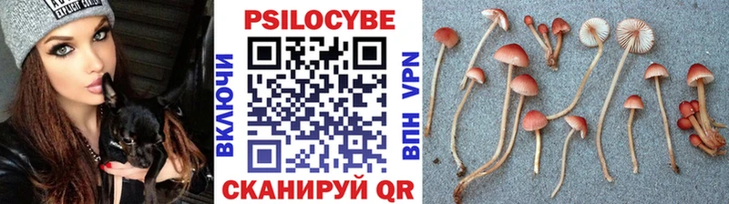 Псилоцибиновые грибы Magic Shrooms  Палласовка 